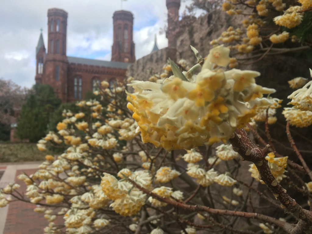 Interesting word for the day… Wurgen (to&nbsp;strangle)